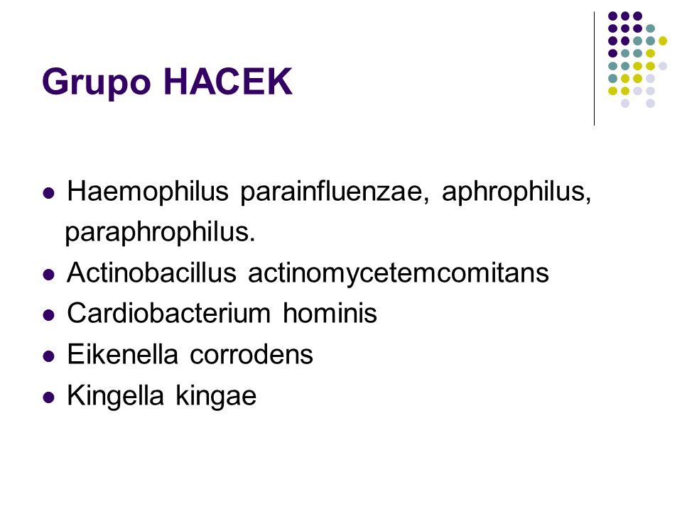 GRUPO HACEK DOWNLOAD GRUPO HACEK DOWNLOAD